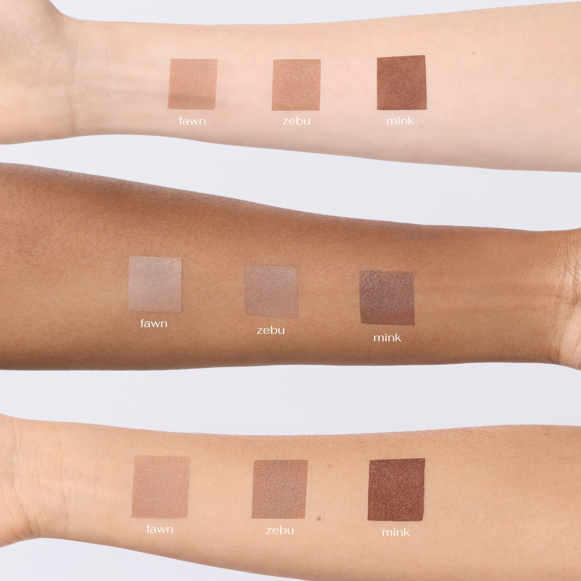 bronze & brush duo