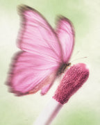 blush crème